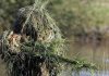 2010_10_29_hiding_3.jpg