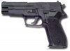 P226.JPG