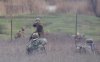 0_75168_87d2658e_L.jpg