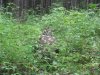 IMG_2519.jpg