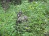 IMG_2520.jpg