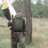 Graif